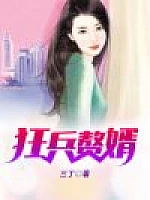 《狂兵赘婿》作者：三丁