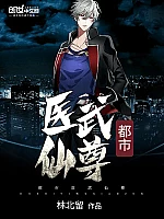 《都市医武仙尊》作者：林北留