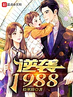 《逆袭1988》作者：拾寒阶