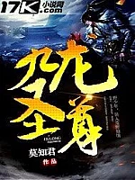 《九龙圣尊》作者：莫知君