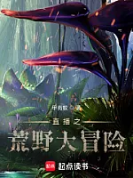 《直播之荒野大冒险》作者：甲壳蚁
