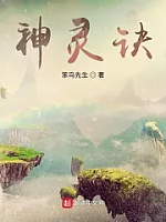 《神灵诀》作者：笨鸟先生