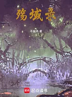 《殇域录》作者：不留鸣