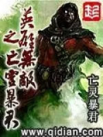 《英雄无敌之亡灵暴君》作者：亡灵暴君