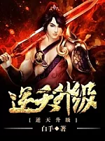 《逆天升级》作者：白手