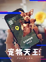 《宠物天王》作者：皆破